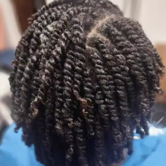 Mini Twist Growth Program at Knotty Opulence Hair Care Studio in Merida, TX